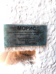 Пропал кот Морис