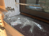 Пропал кот Морис