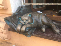 Пропал кот Морис